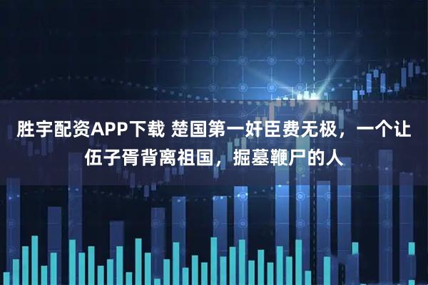 胜宇配资APP下载 楚国第一奸臣费无极，一个让伍子胥背离祖国，掘墓鞭尸的人