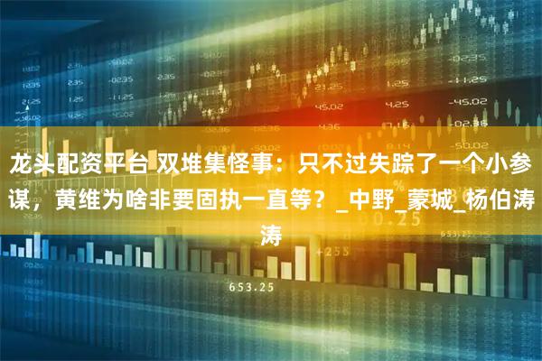 龙头配资平台 双堆集怪事：只不过失踪了一个小参谋，黄维为啥非要固执一直等？_中野_蒙城_杨伯涛