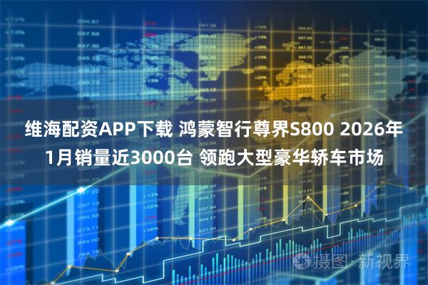 维海配资APP下载 鸿蒙智行尊界S800 2026年1月销量近3000台 领跑大型豪华轿车市场