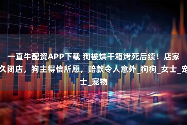 一直牛配资APP下载 狗被烘干箱烤死后续！店家永久闭店，狗主得偿所愿，赔款令人意外_狗狗_女士_宠物