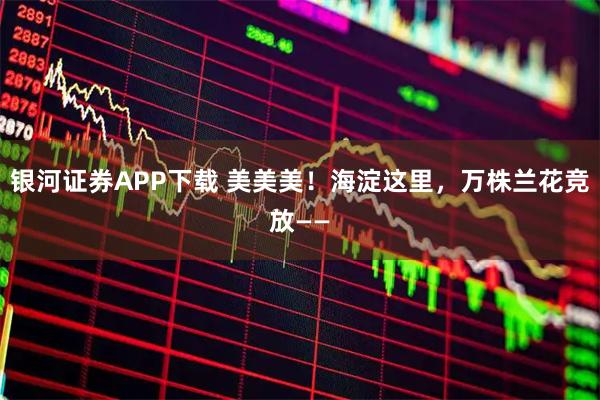 银河证券APP下载 美美美!海淀这里,万株兰花竞放——